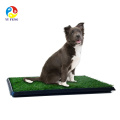 Suprimentos para animais de estimação para Parque de Estimação Indoor Dog Potty Grass Mat Tapete De Xixi Treinamento